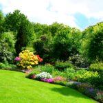 Ein großer grüner Garten